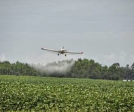 aviação agricola